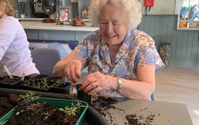 residents planting