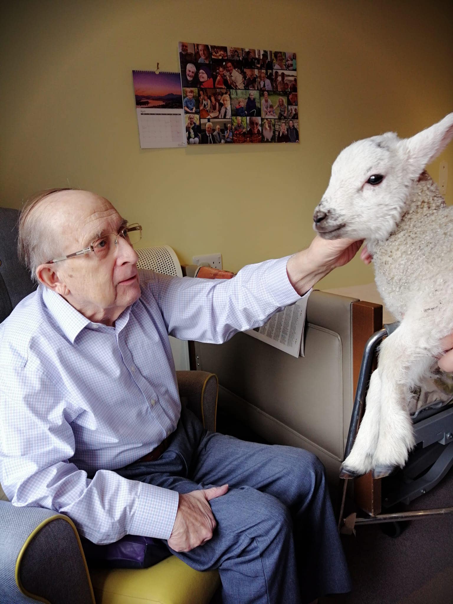 A resident with a lamb at The Amwell Care Home