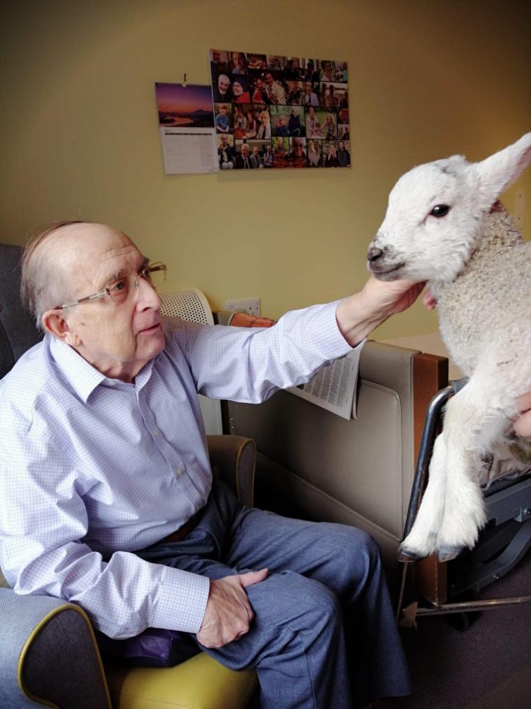 residents petting a baby lamb