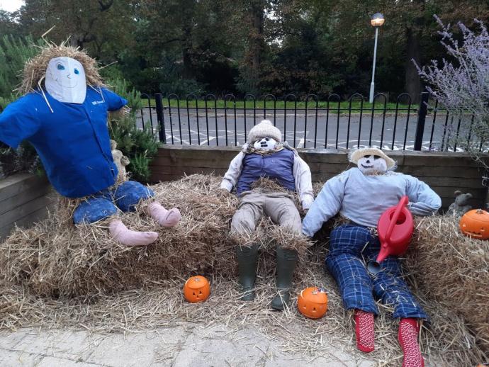 scarecrows at The Amwell