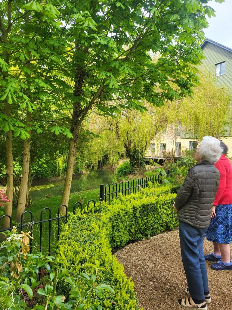 Residents on a walk looking at the lake and trees